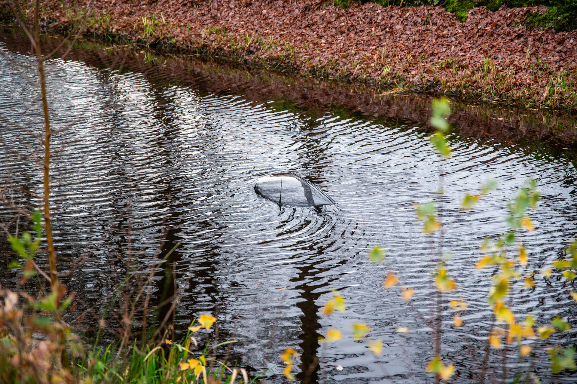 Auto rolt van oprit en belandt in het water