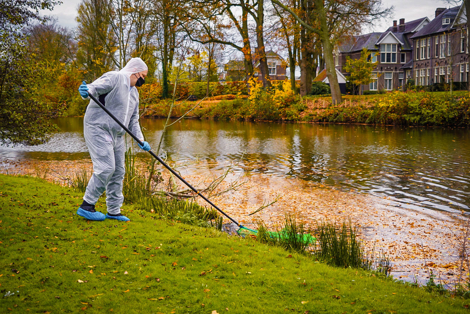 Gans met vogelgriep aangetroffen