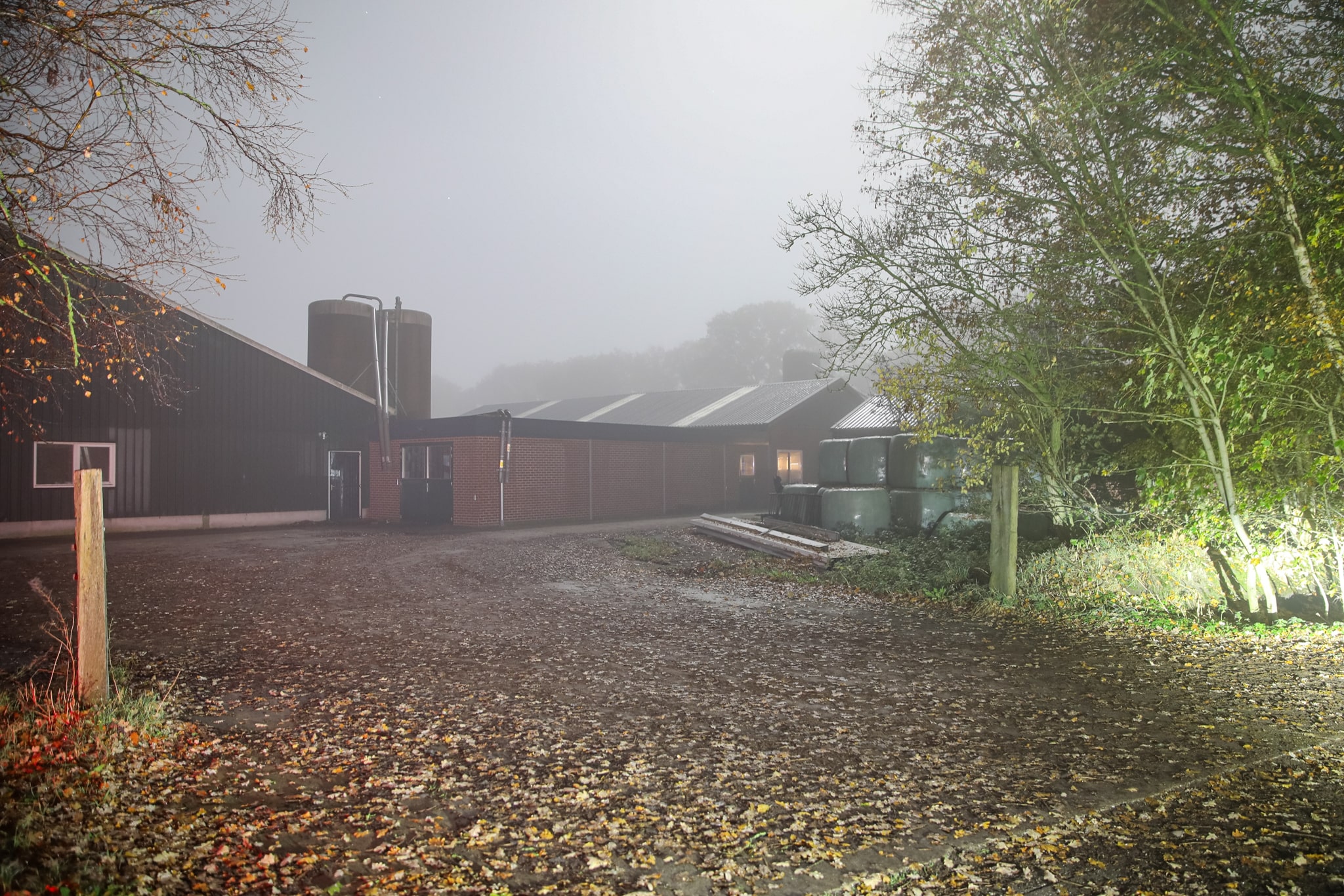 Vogelgriep in Fries dorp, 120.000 leghennen geruimd