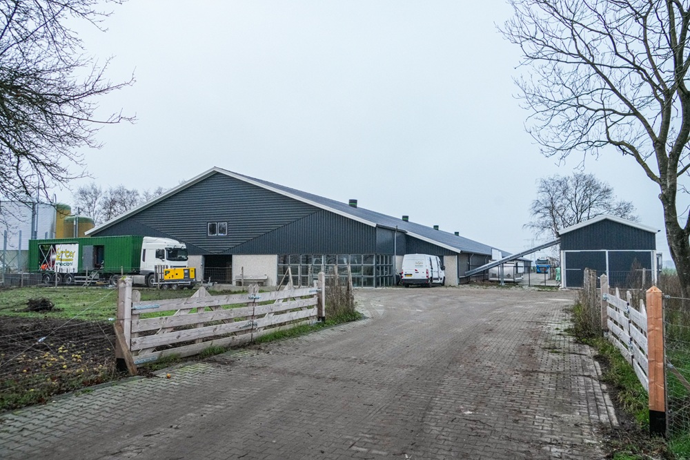 Vogelgriep in Dalen: 23.000 kippen geruimd