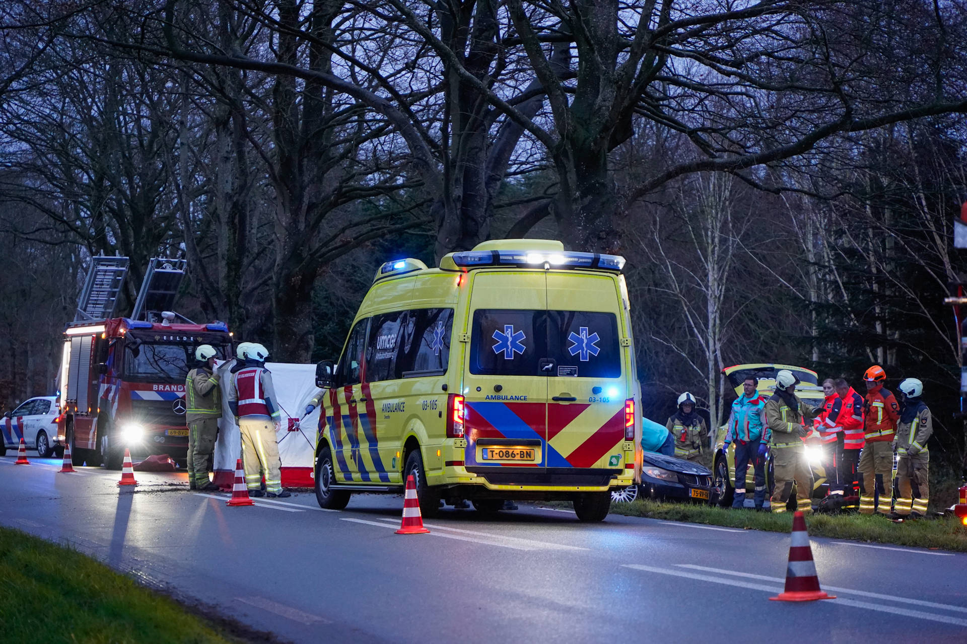 Auto botst frontaal tegen boom