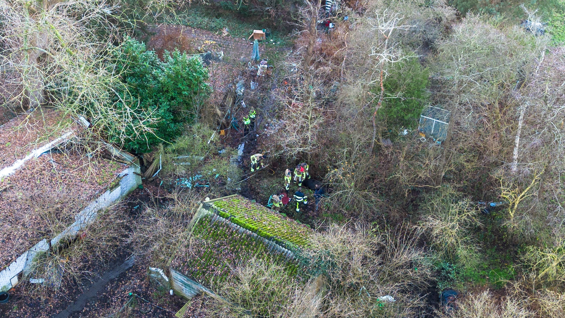 Brandweer redt paard uit sloot