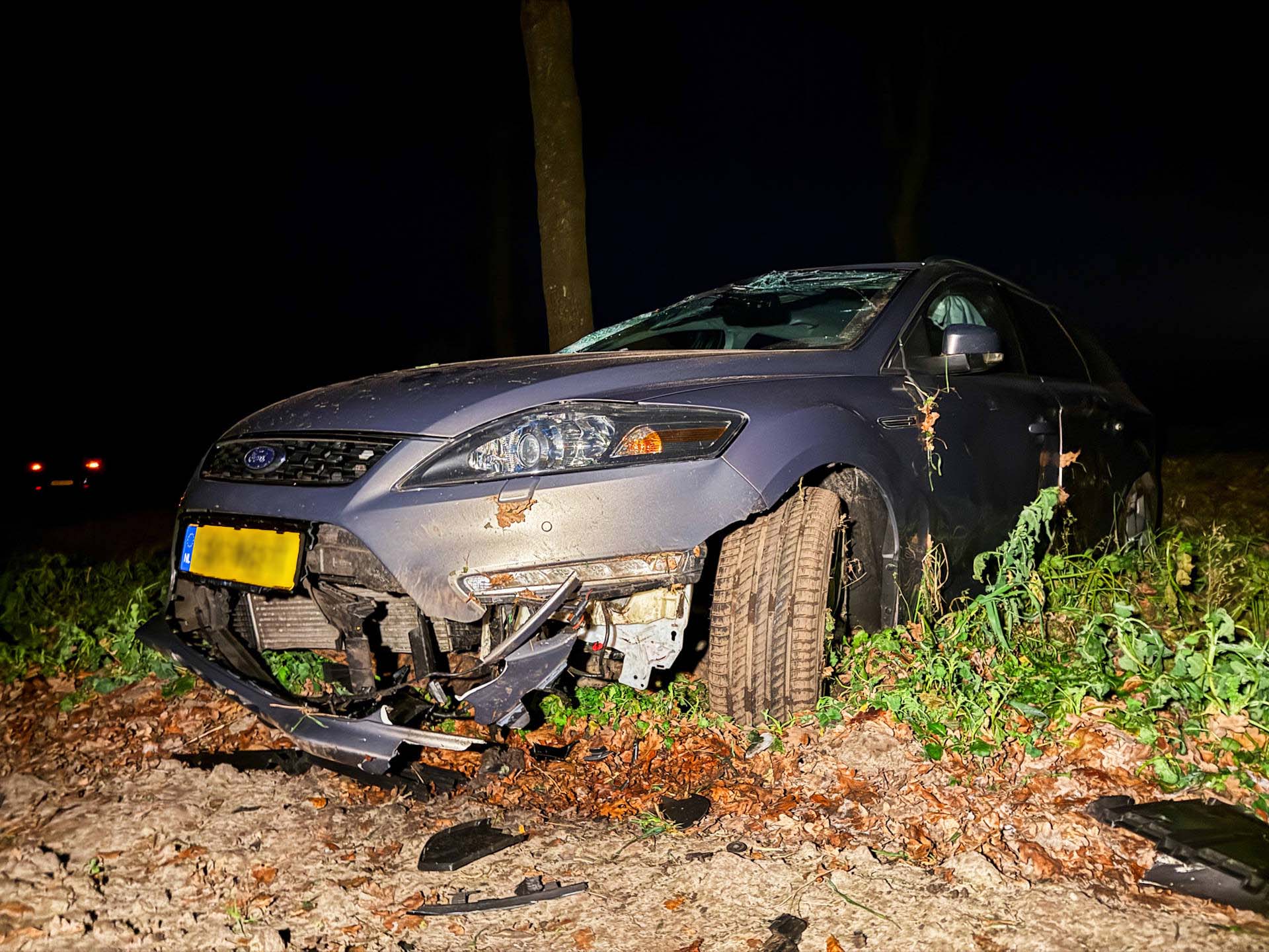 Auto slaat over de kop en belandt in weiland