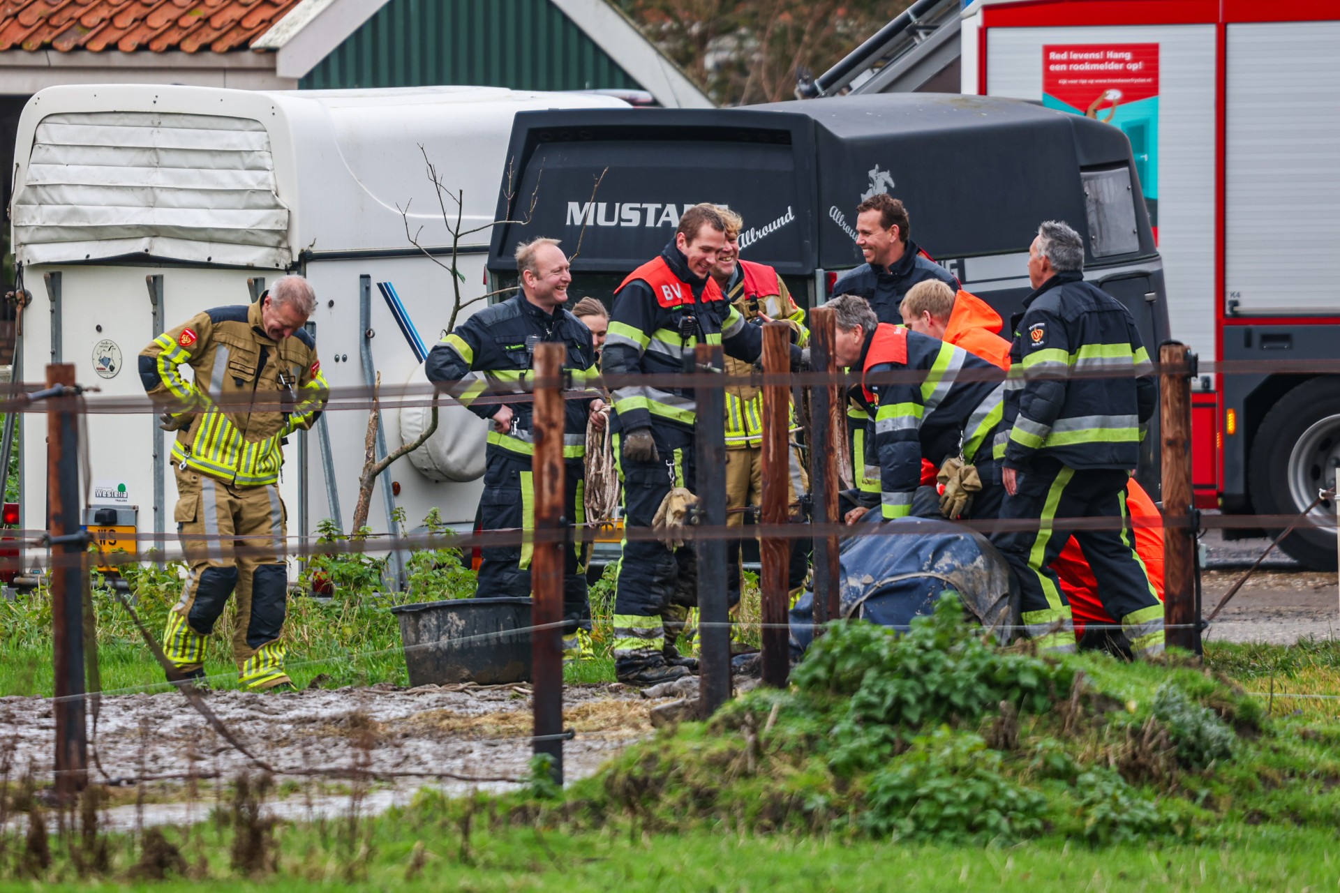 Paard komt niet overeind, hulpdiensten ingeschakeld