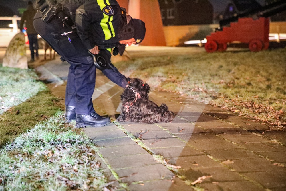 Vrouw redt hondje uit ijskoude vijver