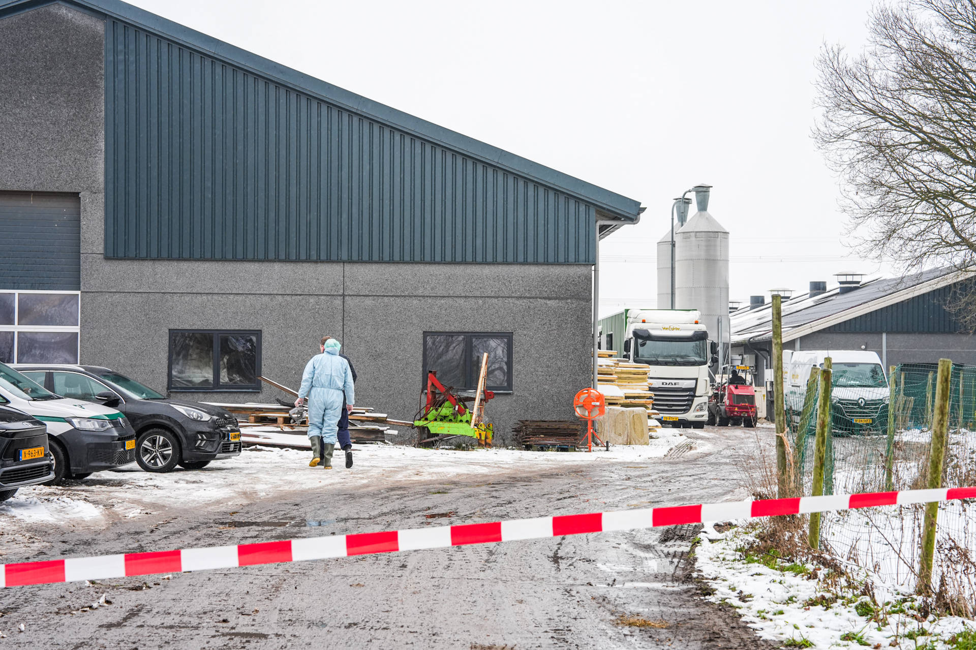 Vogelgriep vastgesteld bij leghennenbedrijf, 15.000 kippen geruimd
