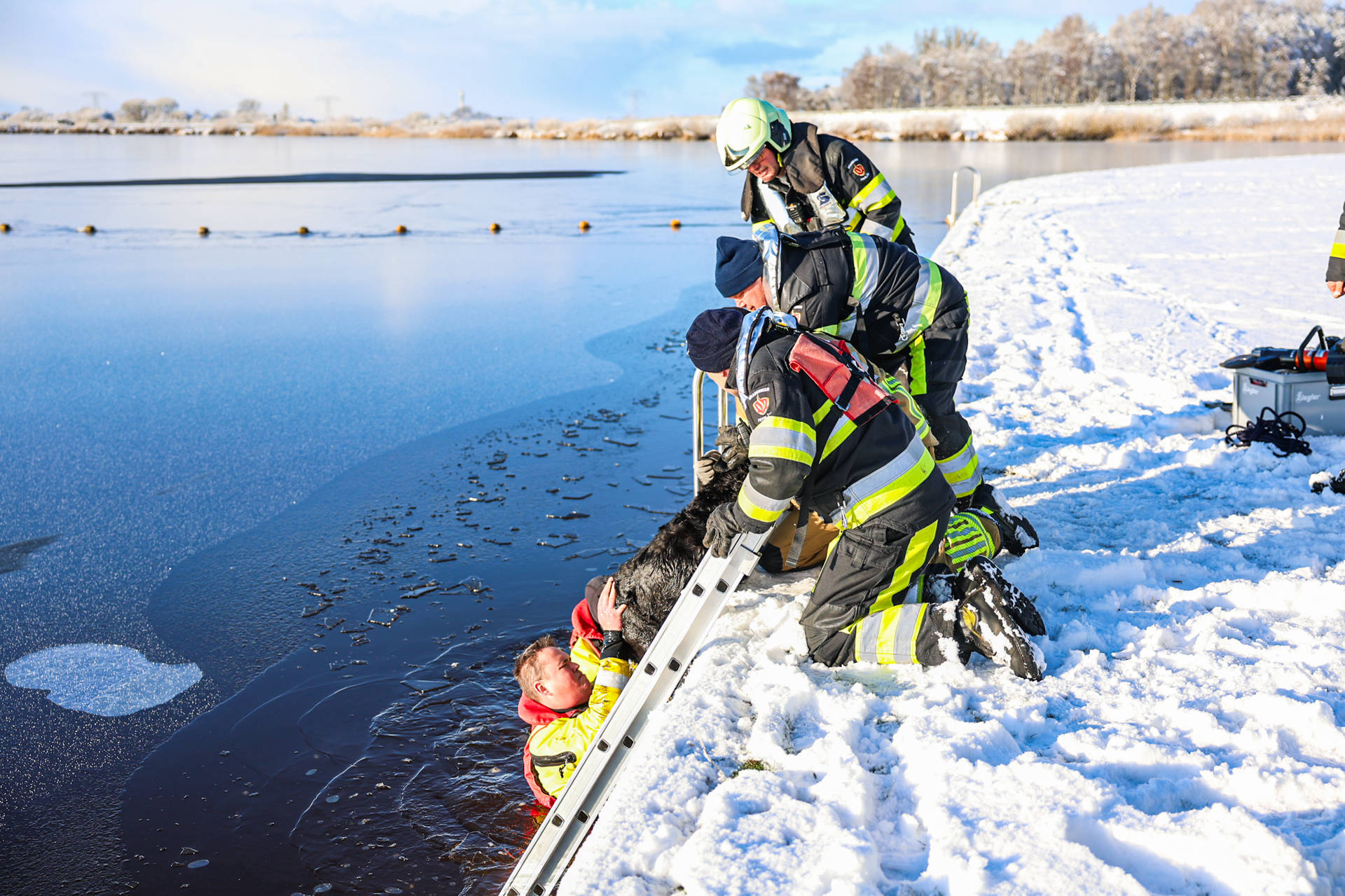Brandweer redt hond die vastzat in water