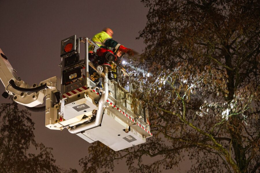 Brandweer rukt uit voor vastzittende aalscholver