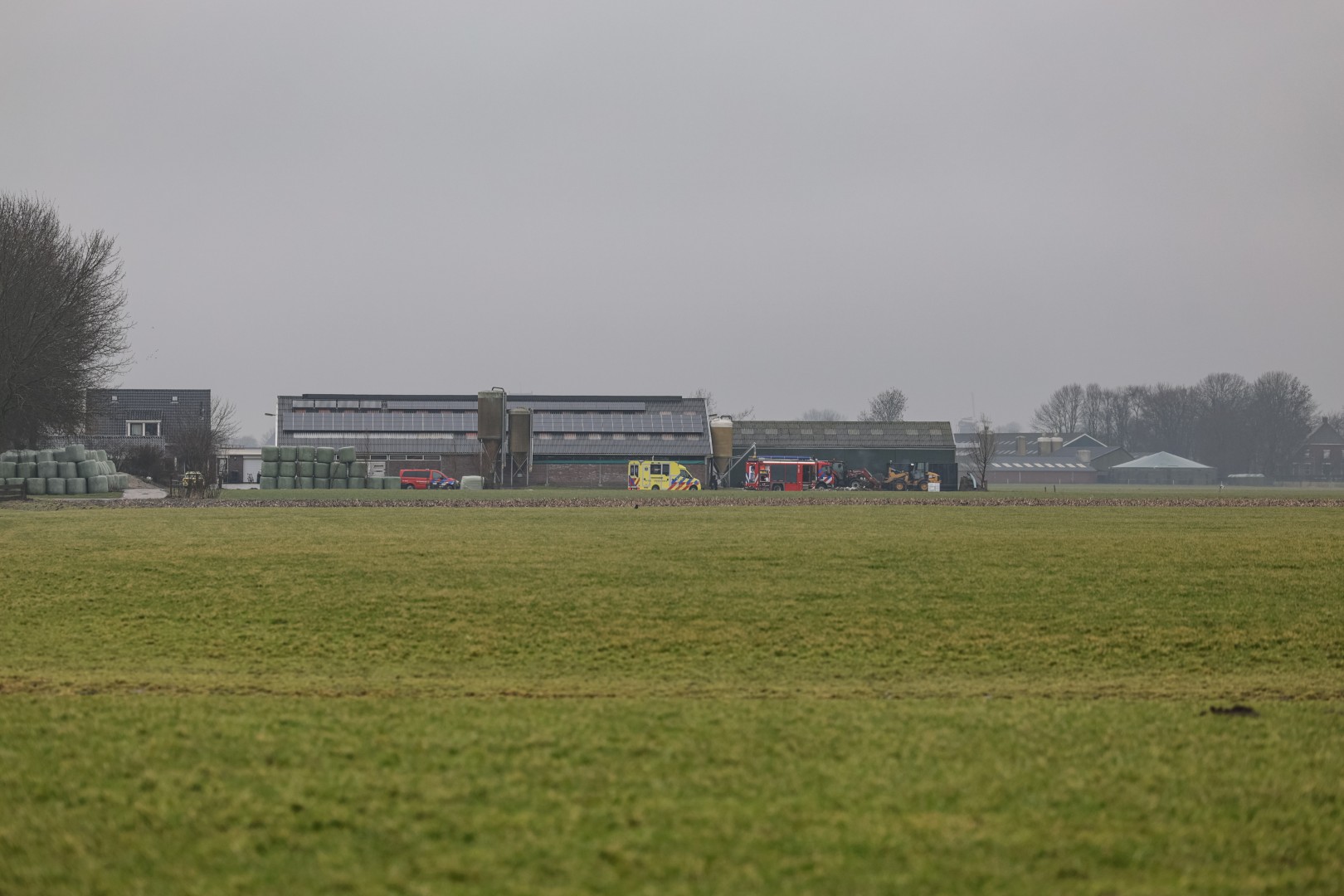 Koe overleden door mestgassen