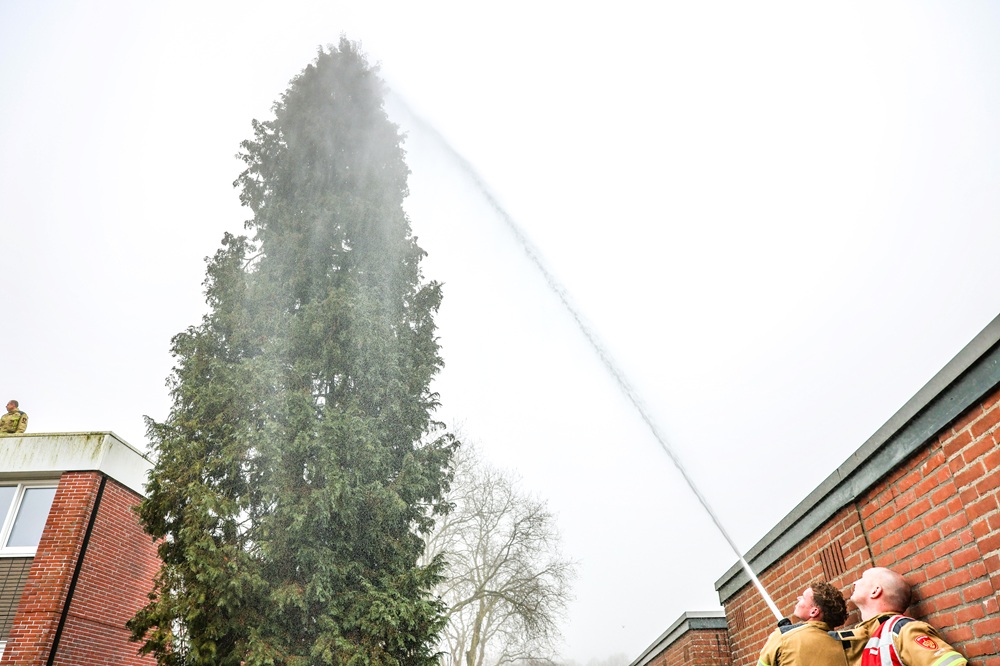 Brandweer probeert kat uit boom te spuiten