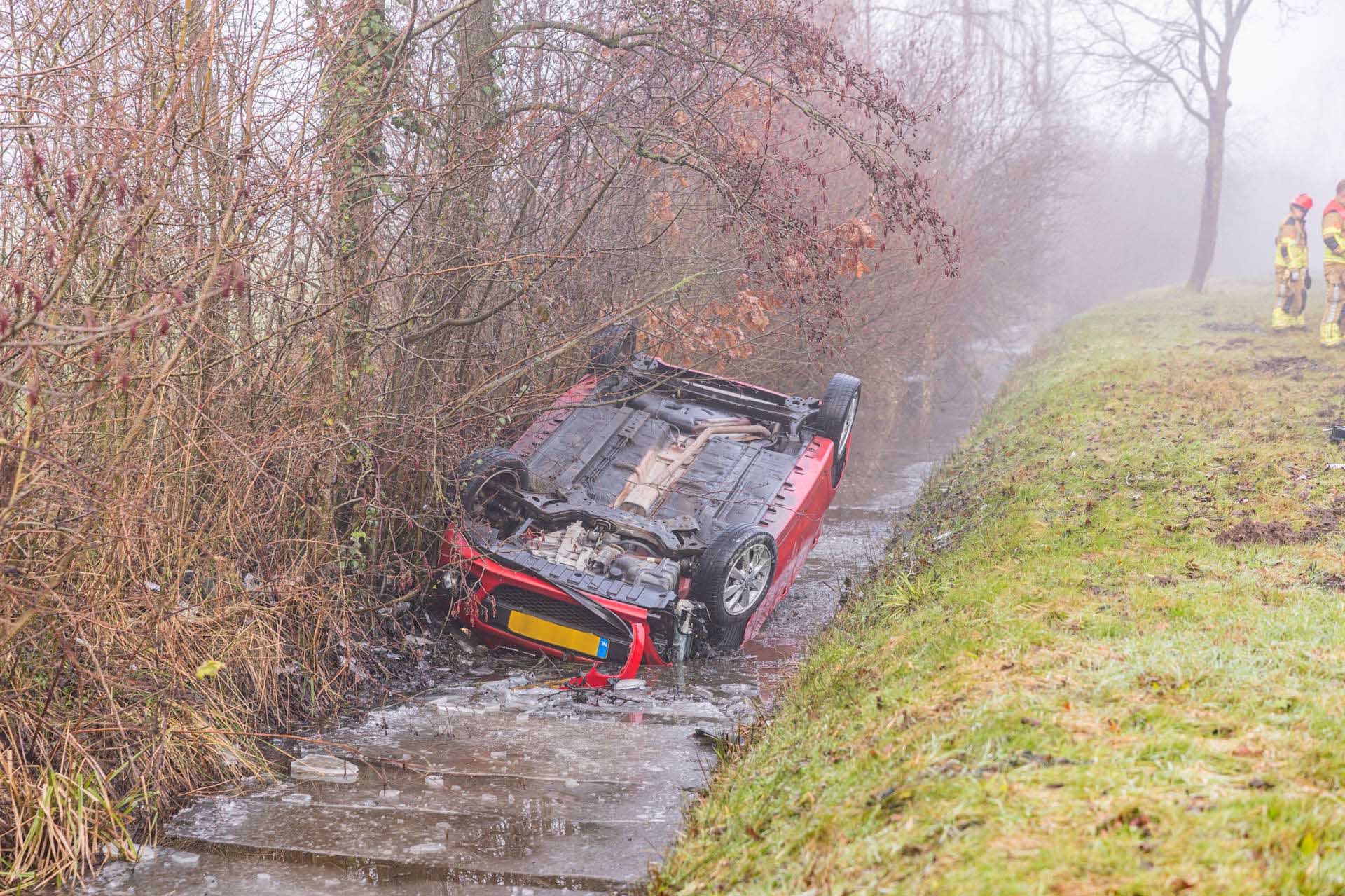 Vrouw en hond slaan over de kop met auto