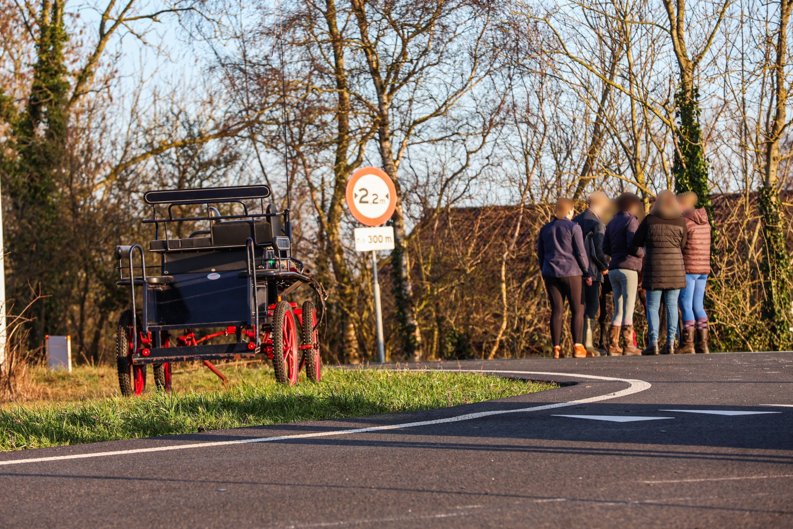 Motorrijder en paard gewond na botsing