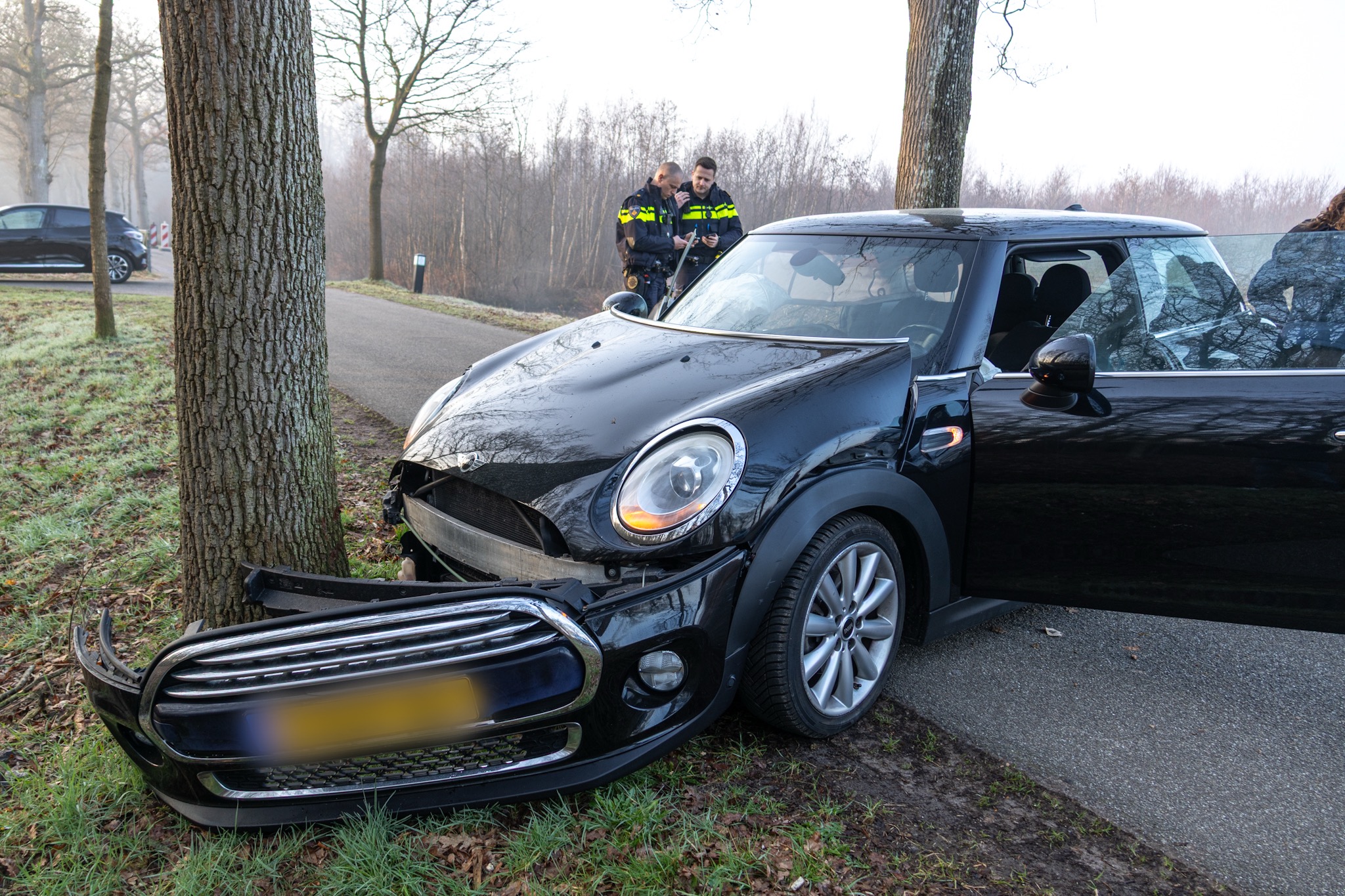 Automobiliste botst frontaal tegen boom