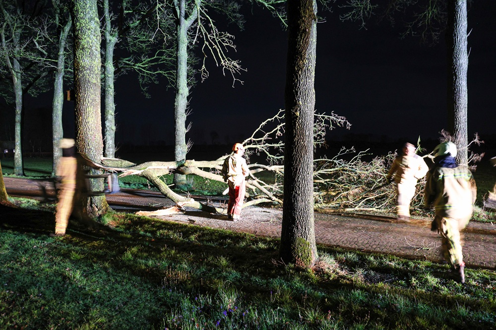 Grote tak breekt af door harde wind