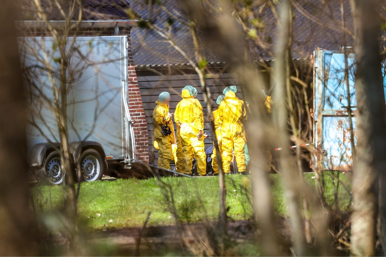 Vogelgriep vastgesteld op pluimveebedrijf