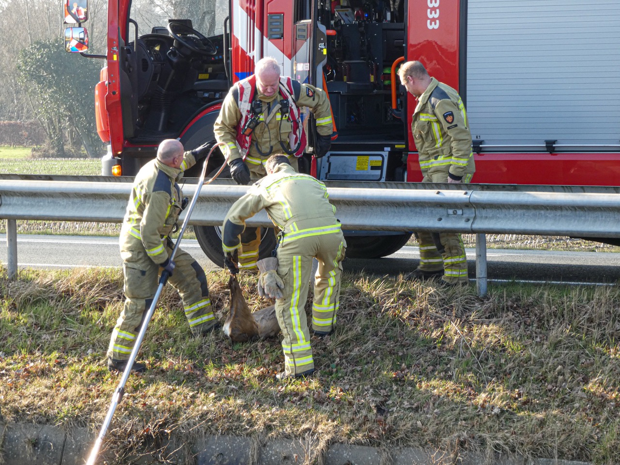Brandweer in actie voor ree in water