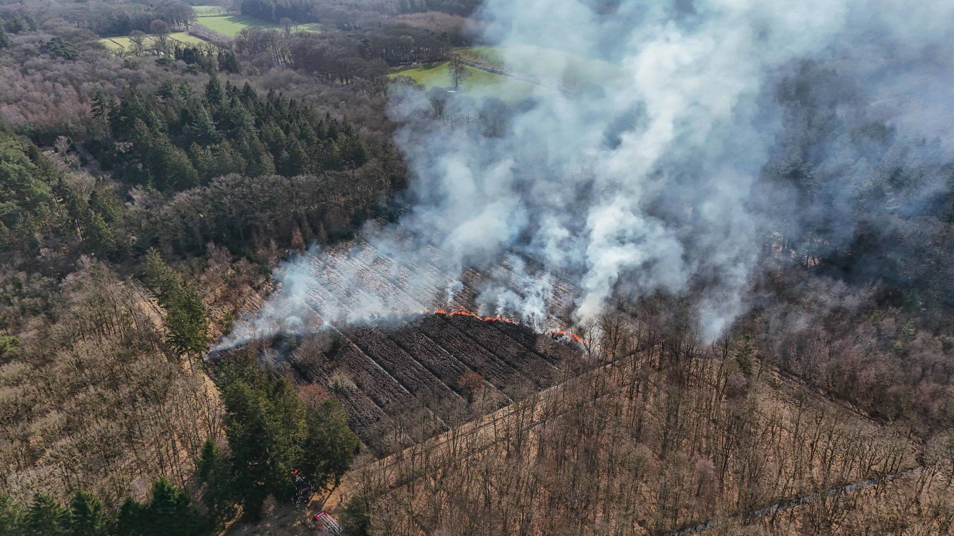 UPDATE: Bosbrand van 20 bij 30 meter, brandweer zet drone in bij blussen