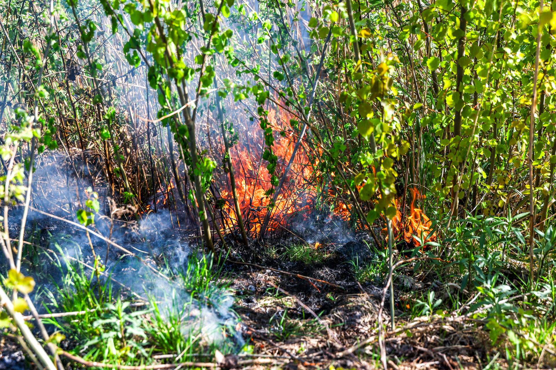 Brandweer blust flinke buitenbrand