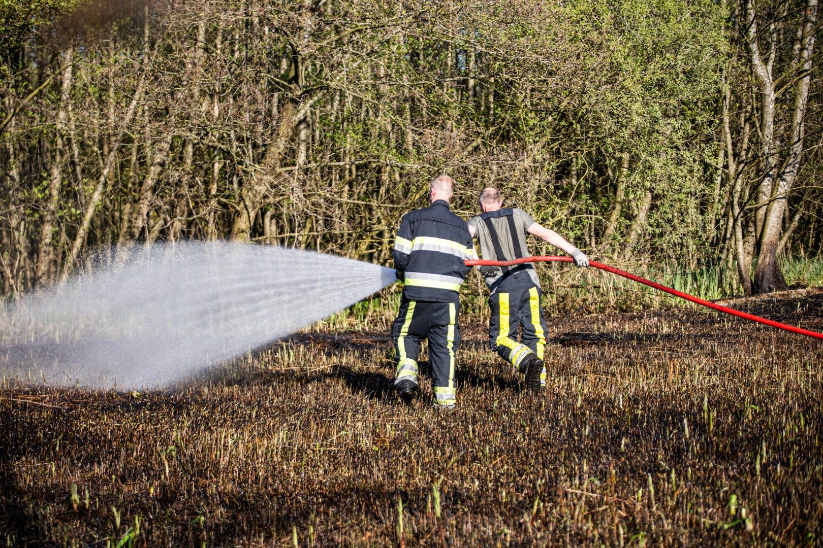 Brandweer snel klaar met natuurbrand, 600 vierkante meter afgebrand