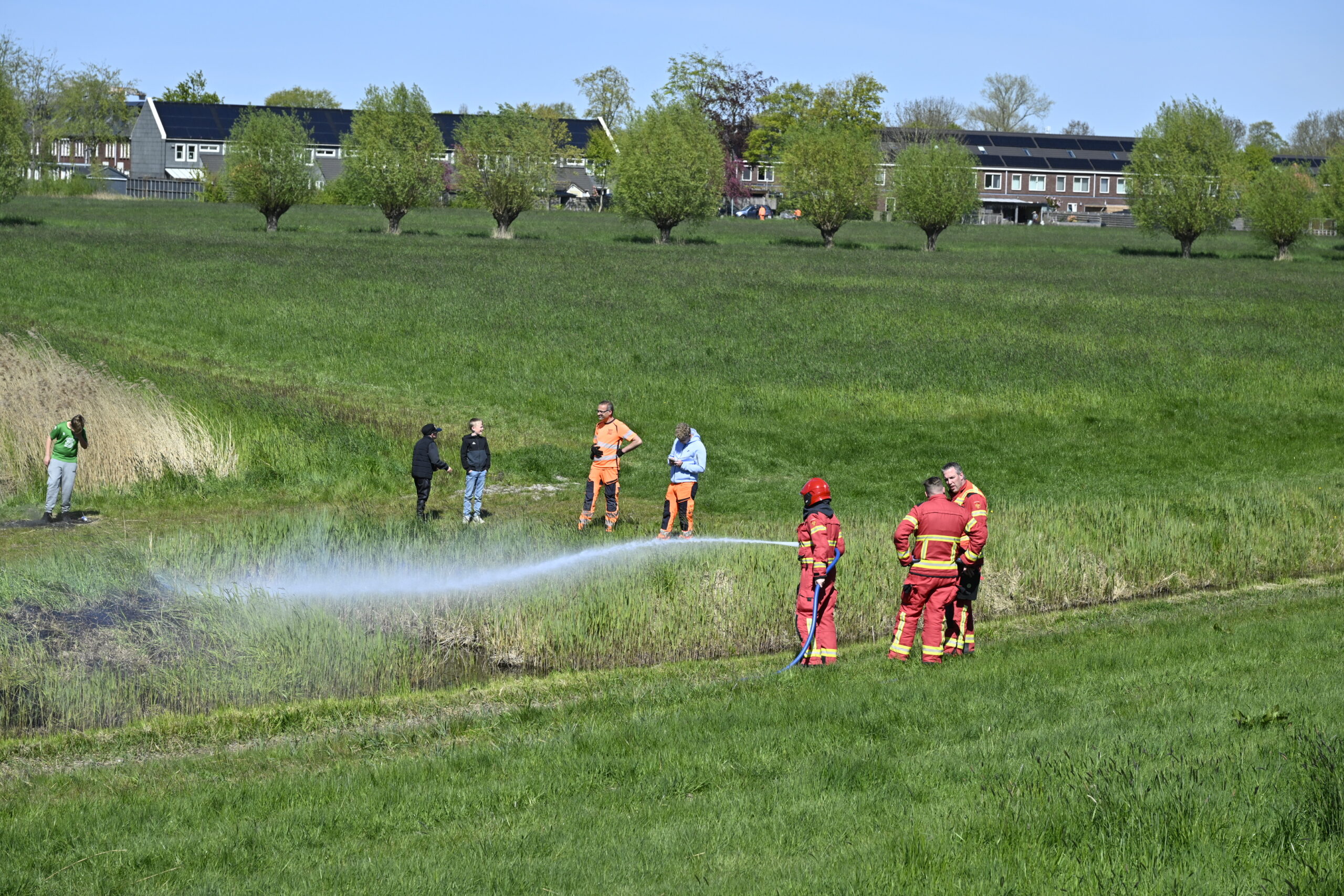 Firefighters in red and yellow gear spray water across a grassy field while onlookers watch; houses line the background.