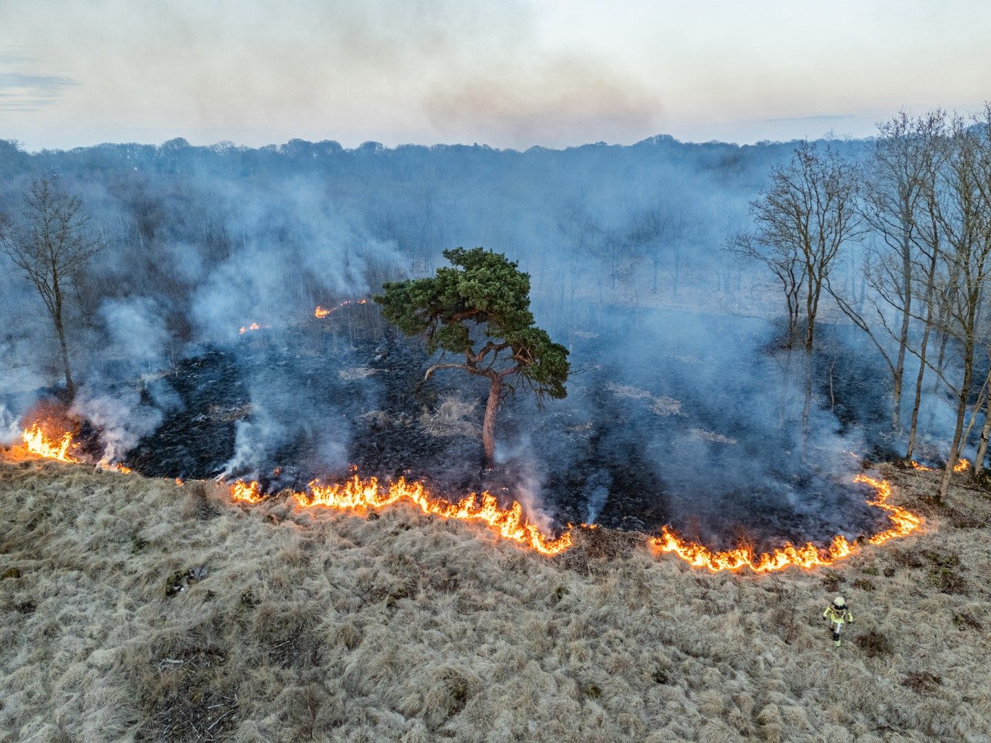 Politie onderzoekt brandstichting na forse bosbrand