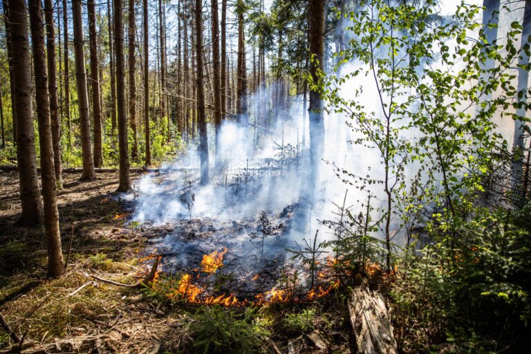 Brandweer kan moeilijk bij brandhaard in bos komen