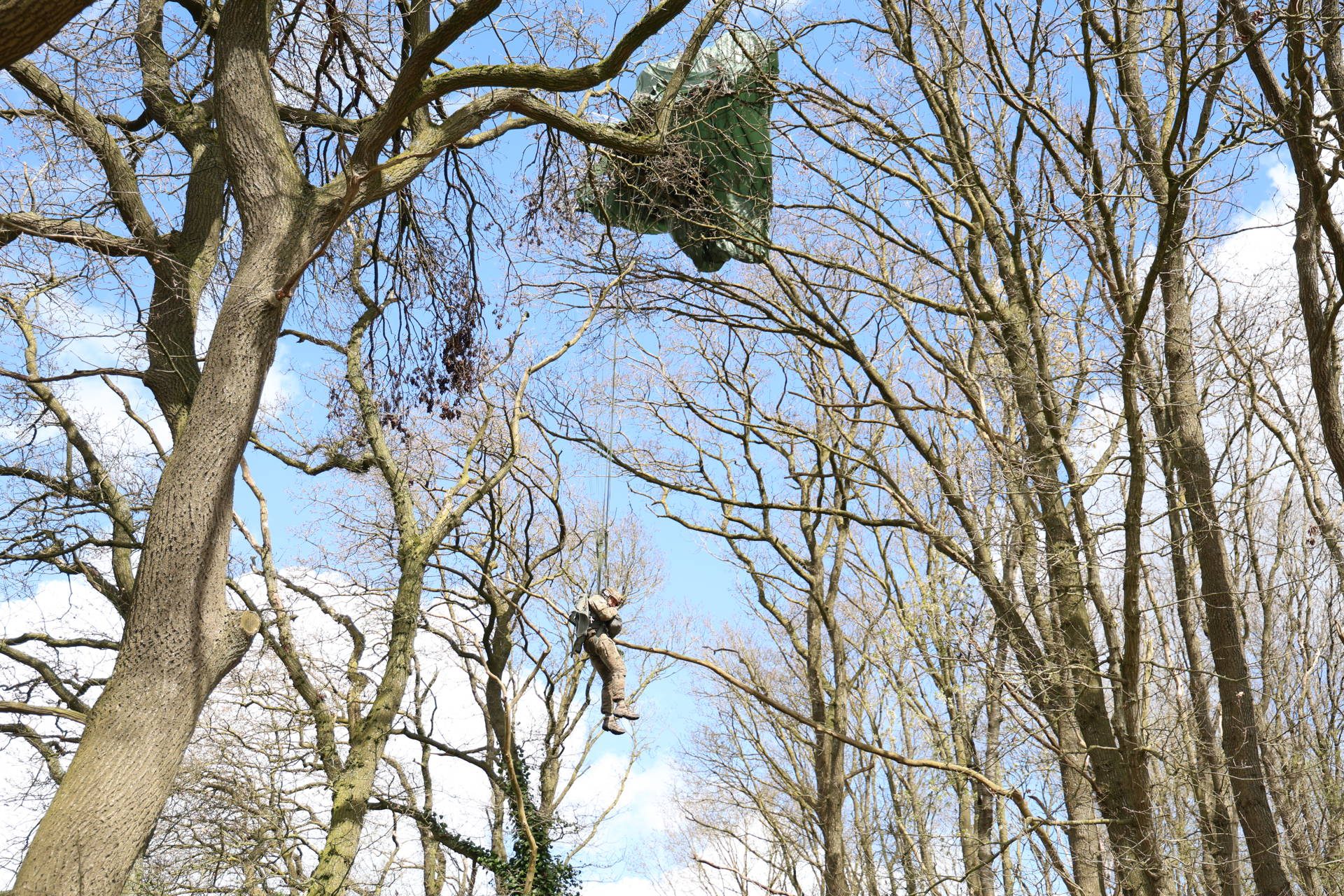 Militair belandt met parachute in boom tijdens herdenking