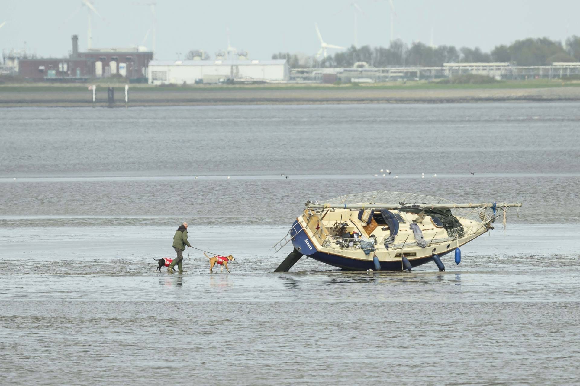 Zeiljacht loopt vast, KNRM wacht op hoog water
