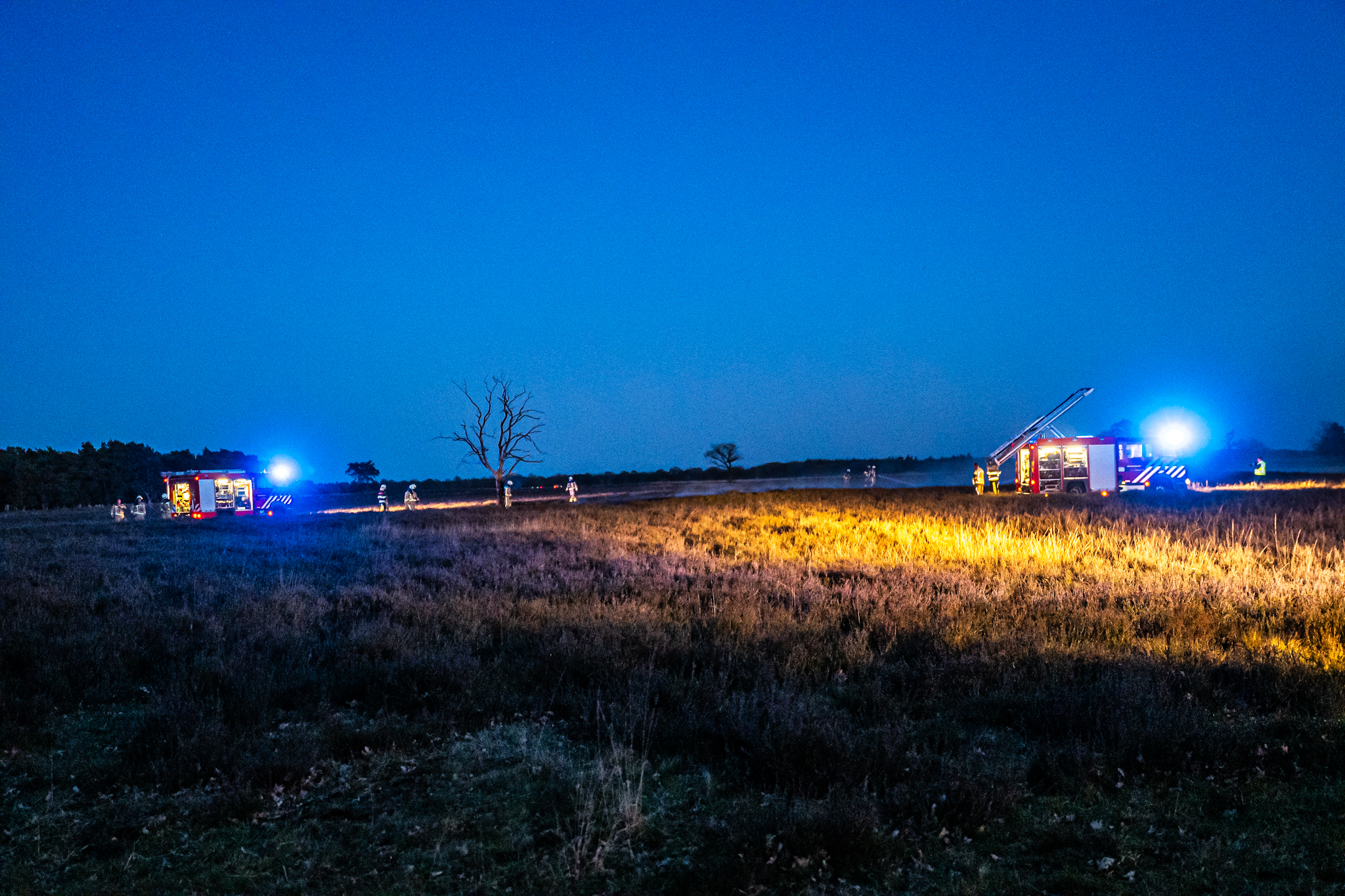 Nighttime field scene with emergency vehicles and firefighters illuminated by blue and amber lights; leafless tree in center.