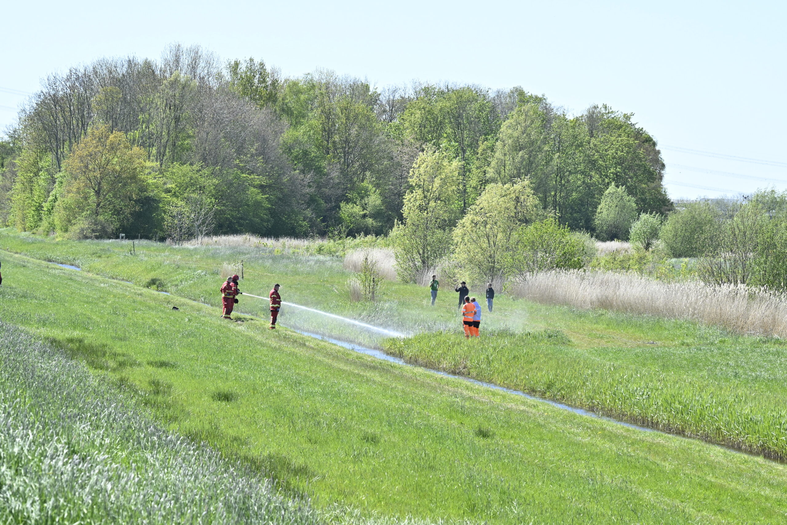 Firefighters in red gear spraying water across a grassy field toward a line of trees with onlookers nearby.