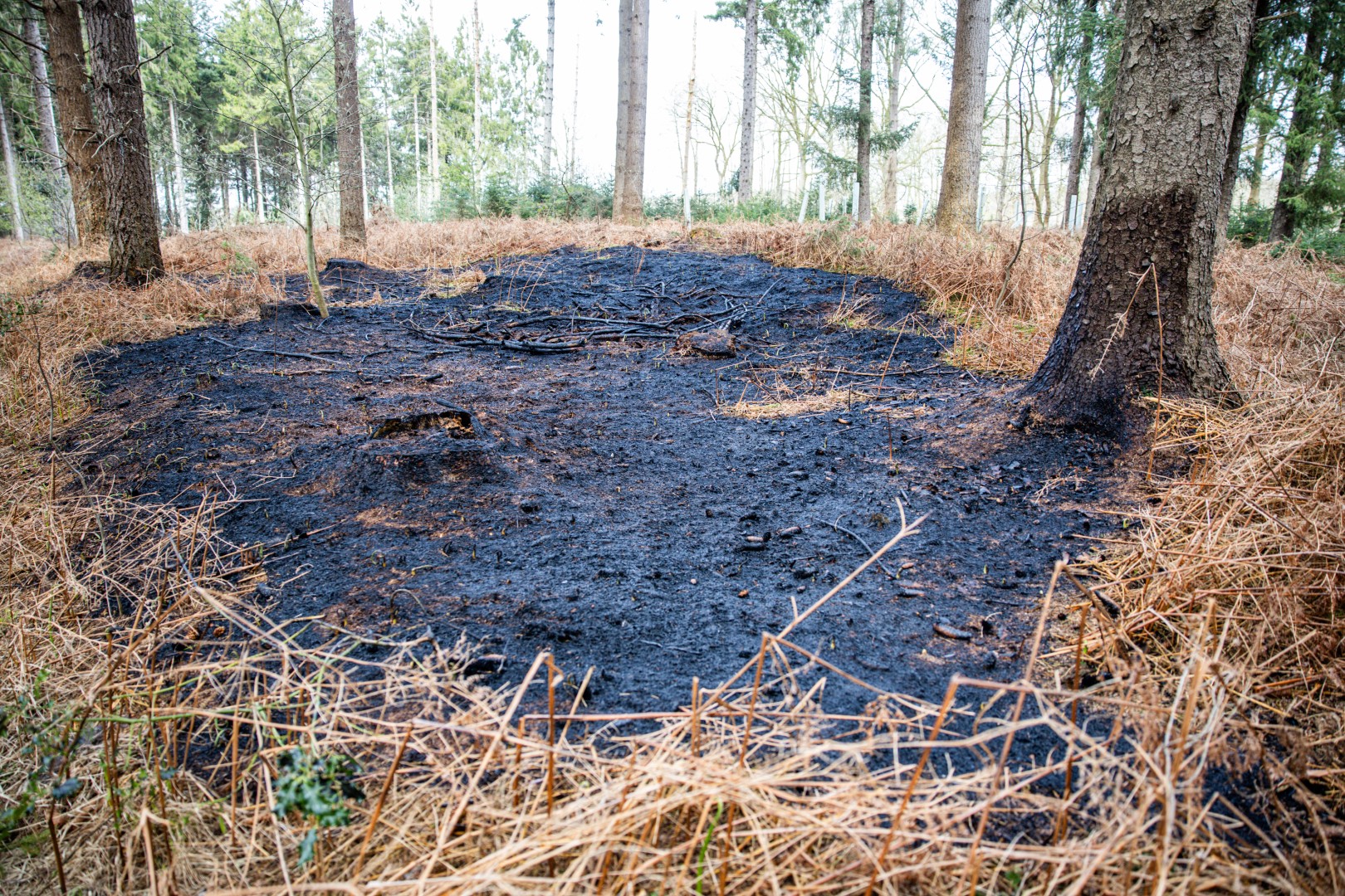 Brandweer snel ter plaatse bij natuurbrand
