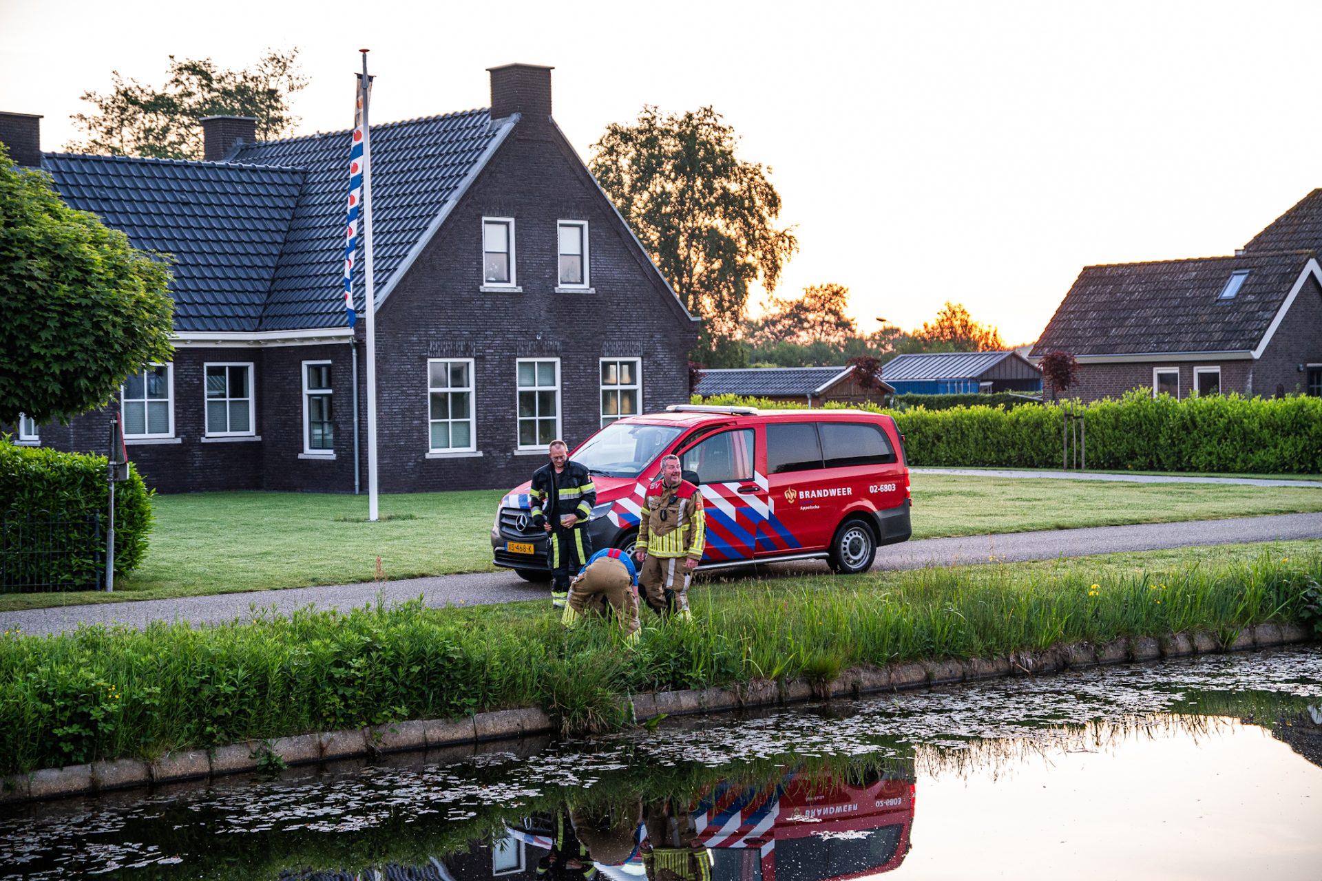 Brandweer redt ree uit het water