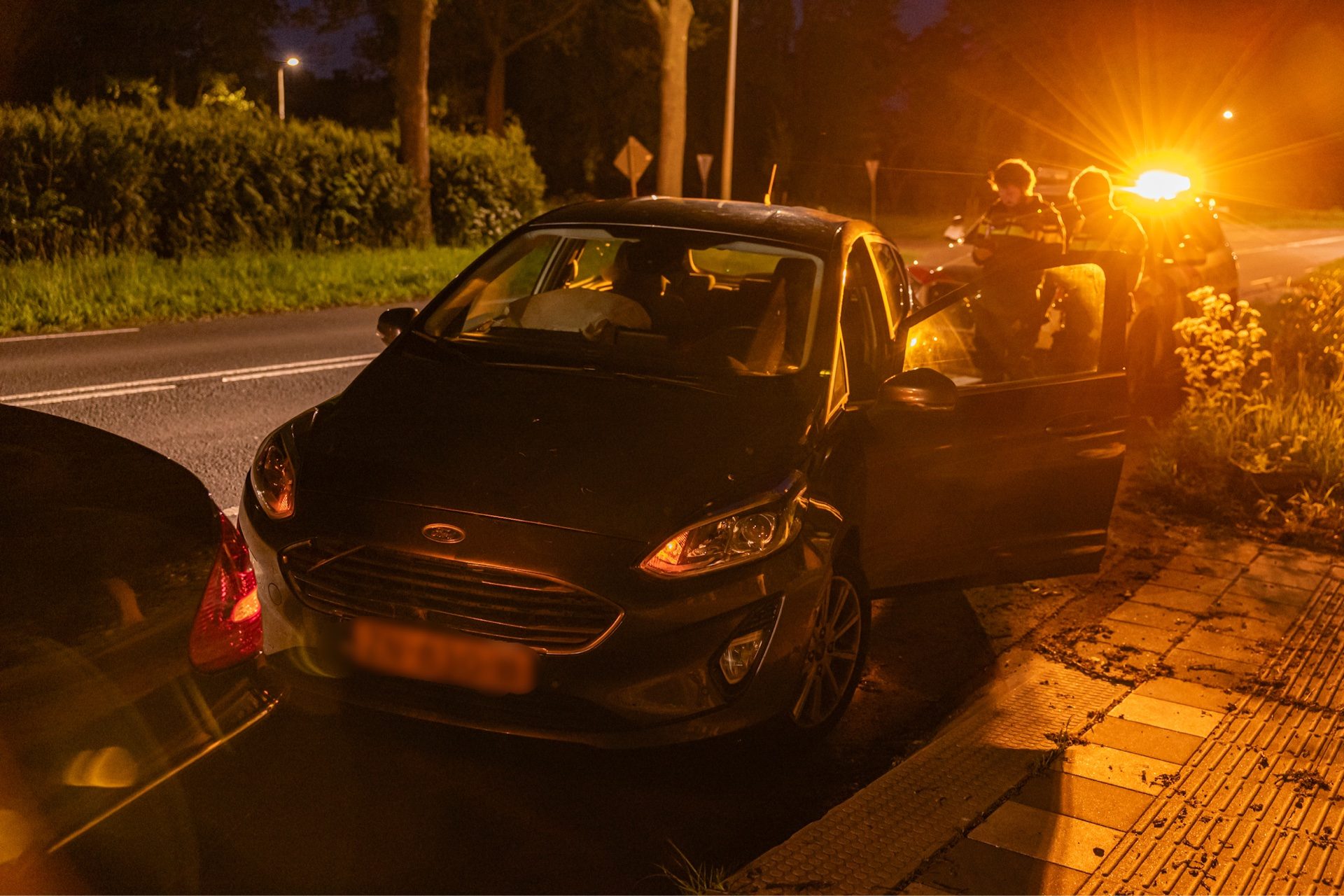Ree overleden na aanrijding met auto