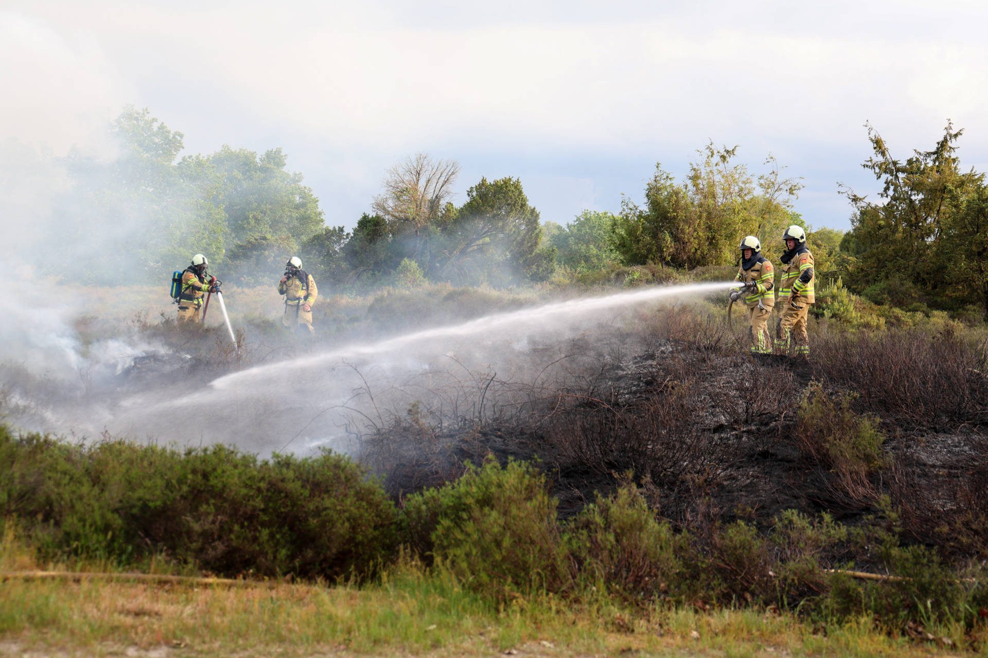 Rookontwikkeling bij heidebrand in natuurgebied