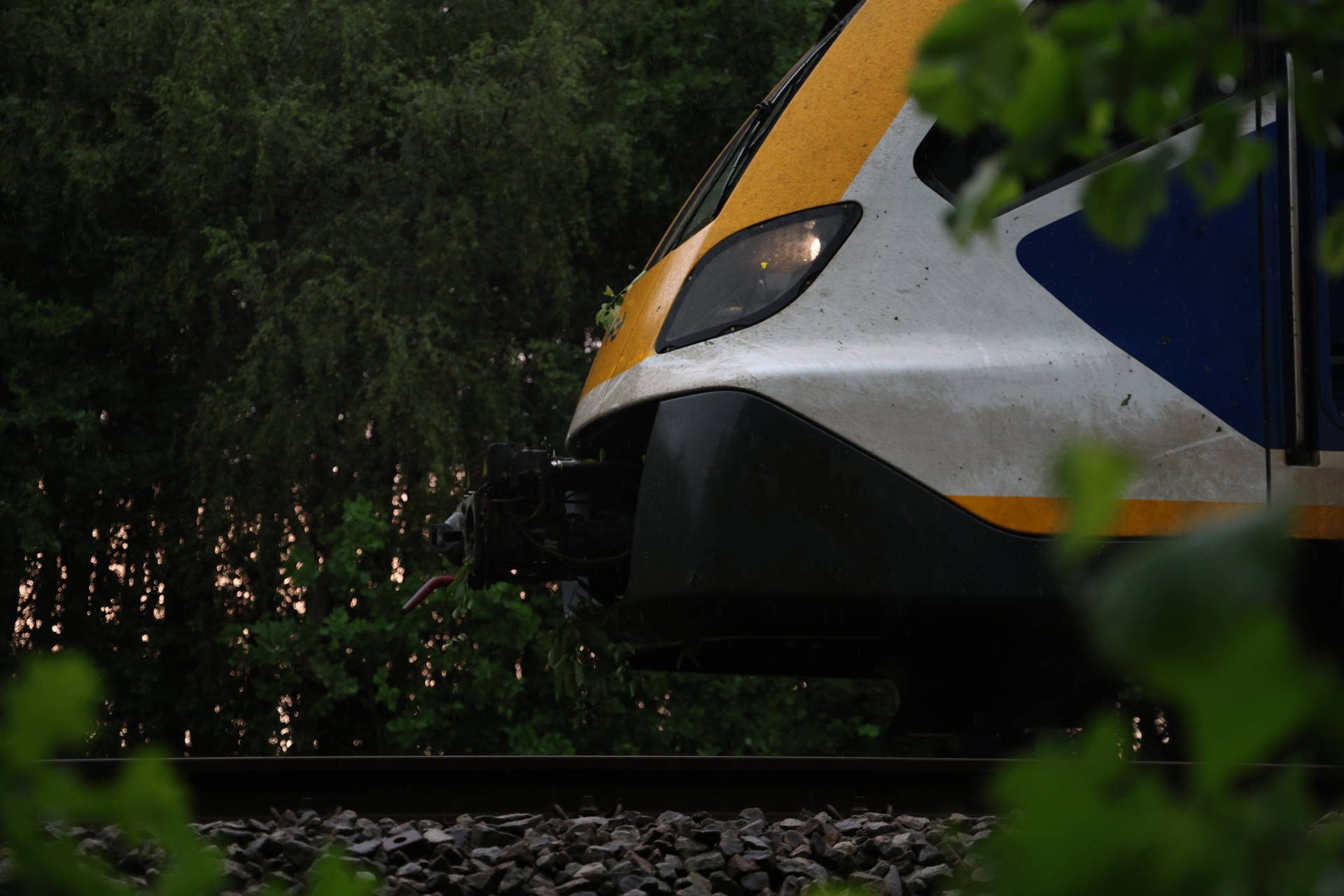 Treinverkeer gestremd nadat trein over omgevallen boom rijdt