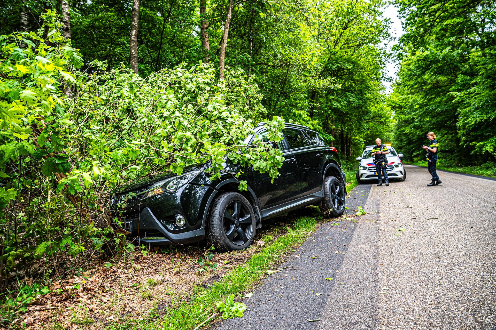 Vrouw ernstig gewond na botsing tegen boom