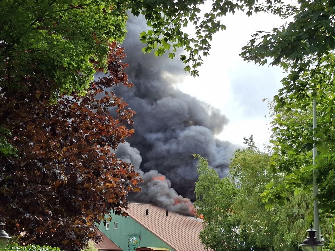 Grote Brand In Dierentuin Meerdere Dieren Overleden NoorderNieuws Grote Brand In Dierentuin Meerdere Dieren Overleden NoorderNieuws
