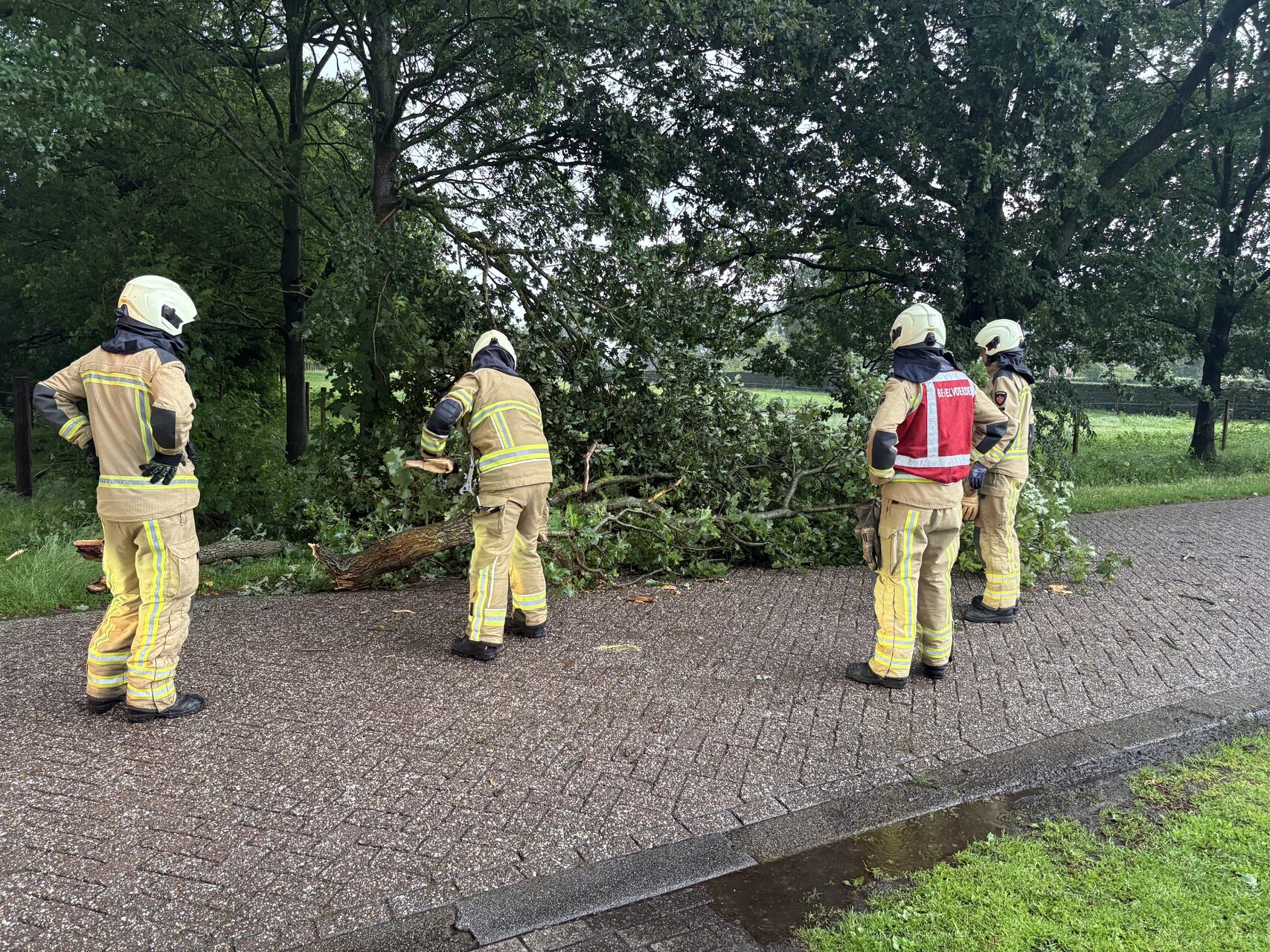 Boom valt op straat, brandweer komt in actie