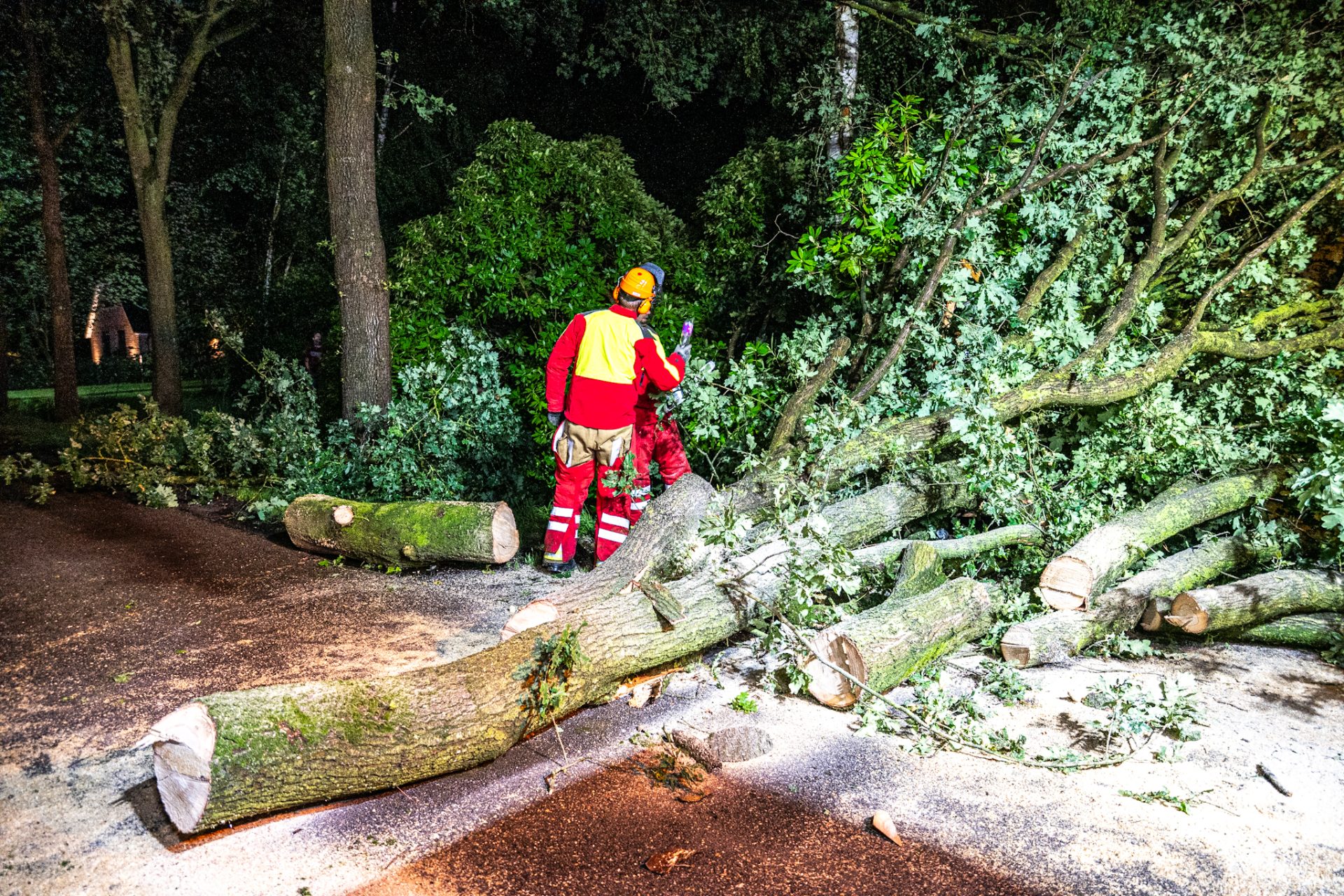 Brandweer druk met verwijderen van omgewaaide bomen