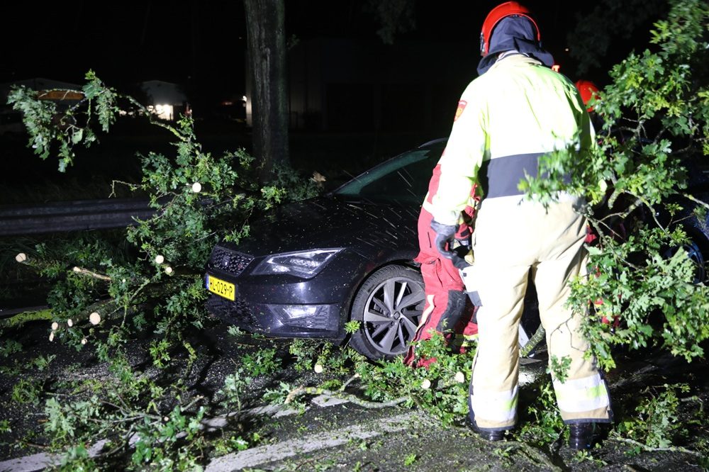 Auto botst tegen omgevallen bomen op snelweg