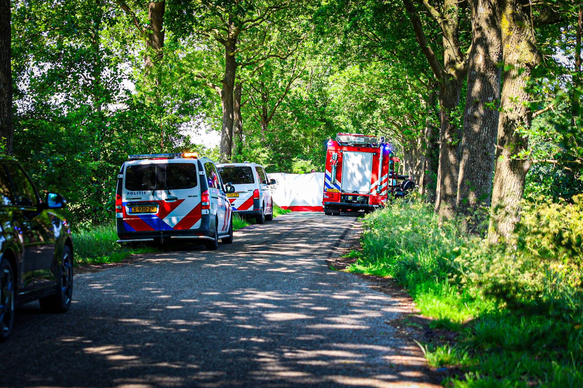Inzittende bekneld na botsing tegen boom