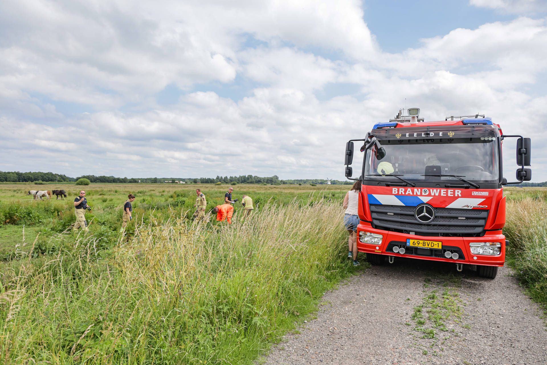 Brandweer redt paard uit sloot