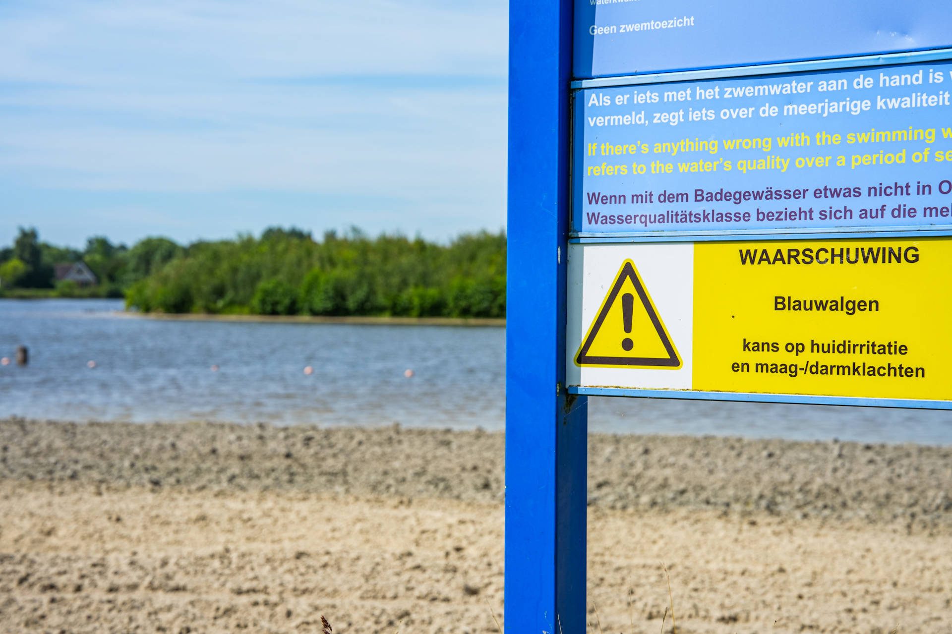 Blauwalg duikt op in recreatieplassen: zwemmen afgeraden