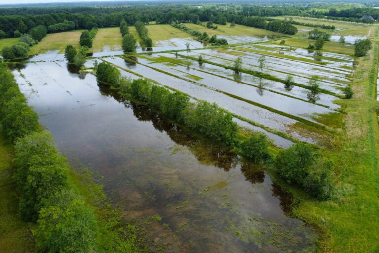 Natuurgebied bij Uffelte overstroomd door kapotte stuw