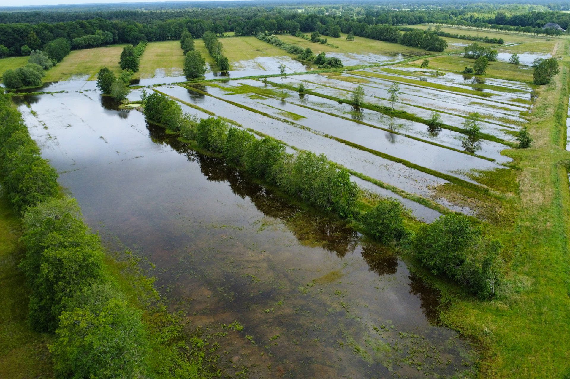 Natuurgebied bij Uffelte overstroomd door kapotte stuw