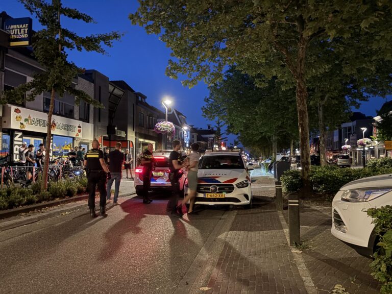 Twee aanhoudingen na grote vechtpartij in centrum
