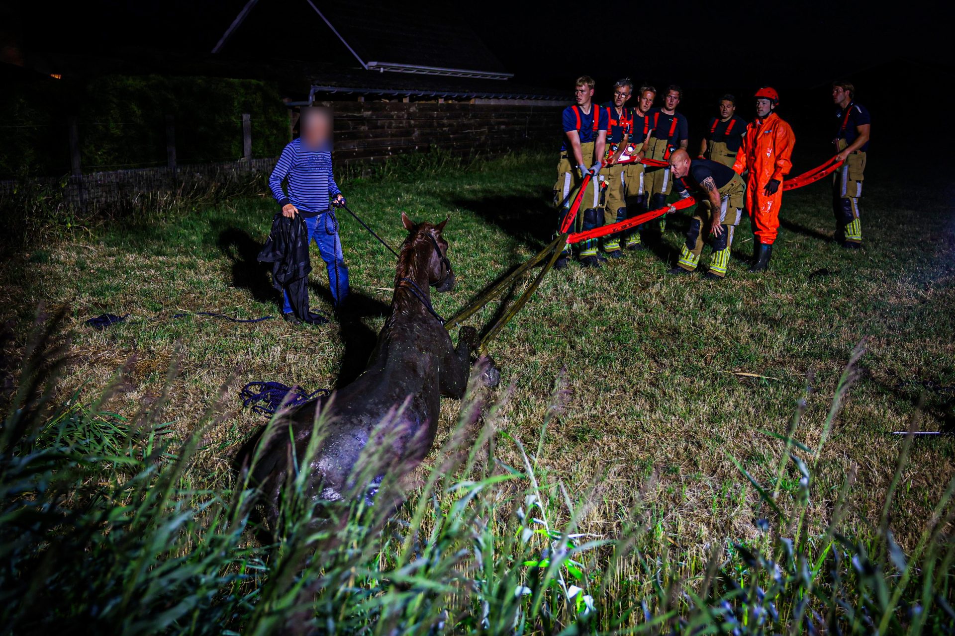 Brandweer redt paard uit sloot na lange inzet
