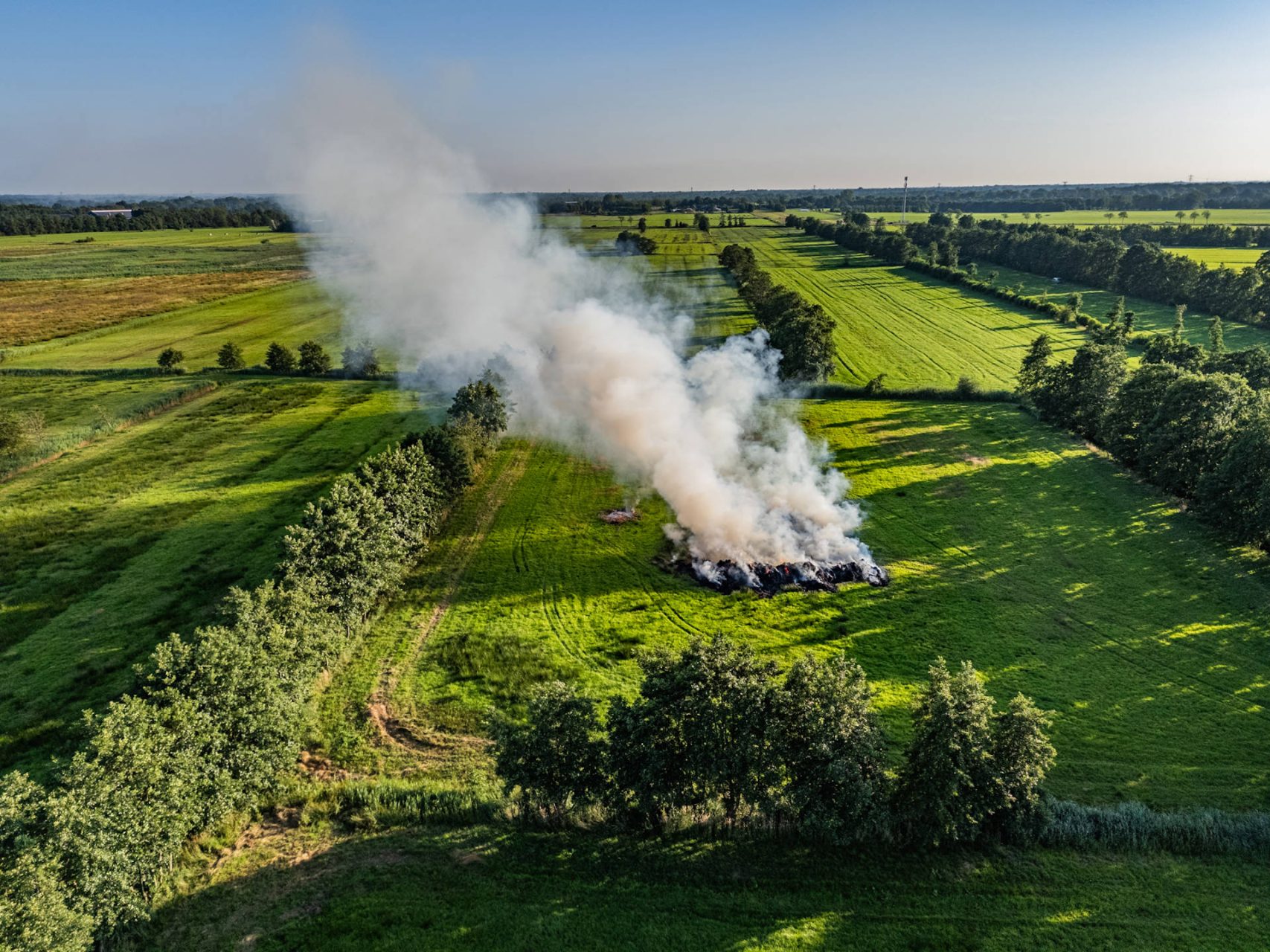 Grote bult gemaaid gras in brand