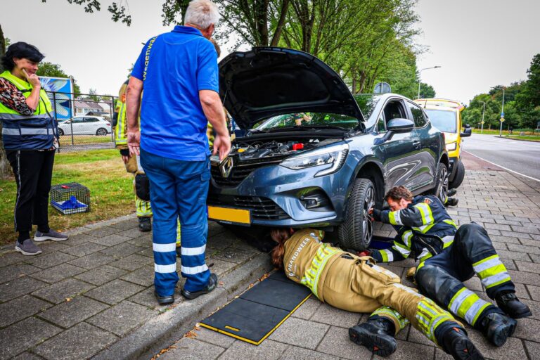 Auto uit elkaar gehaald om kat te bevrijden