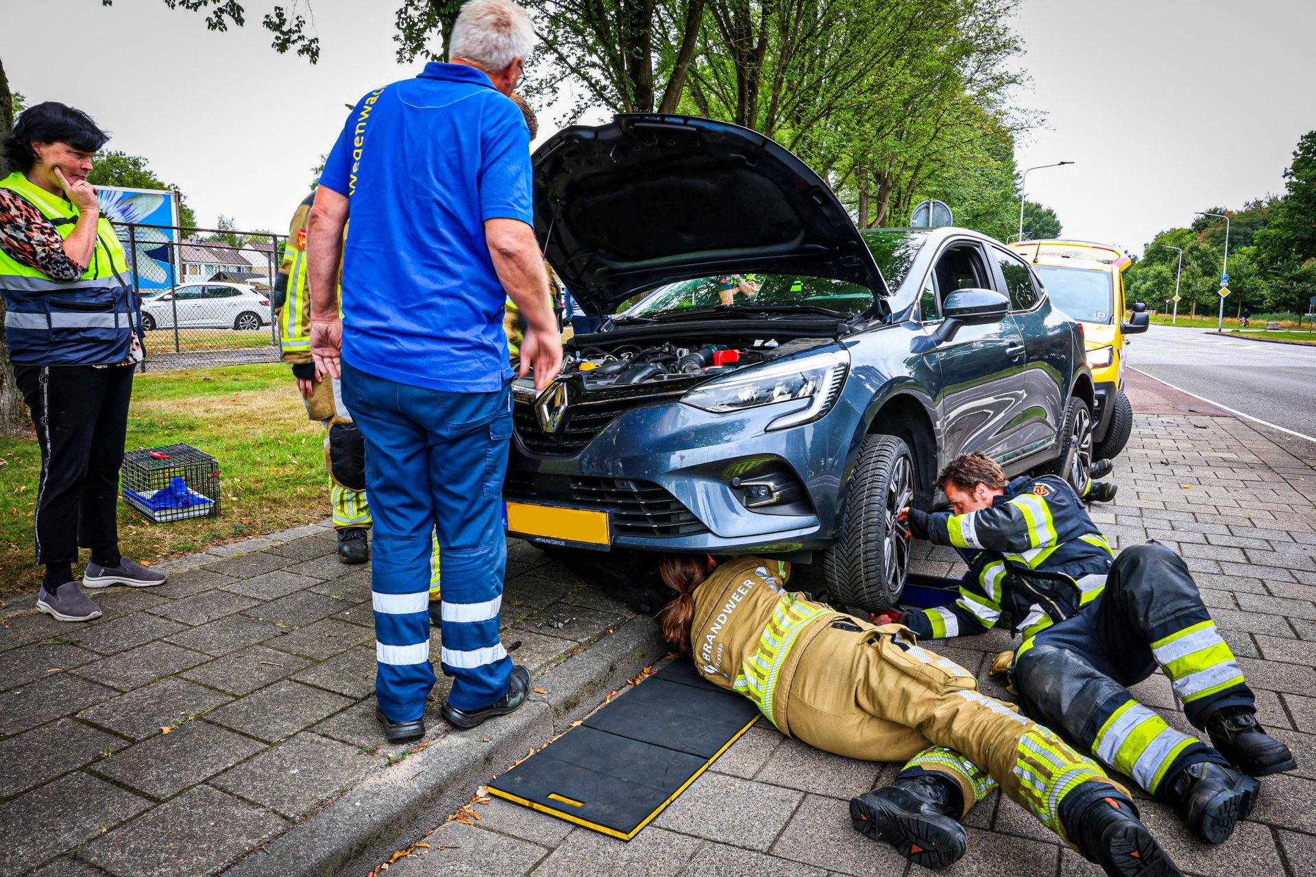 Auto uit elkaar gehaald om kat te bevrijden